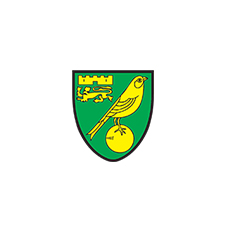 Norwich City Football Club company logo