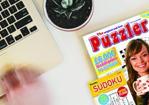 Puzzler-Media-PureNet