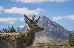 visit-scotland-purenet